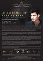 Adam Lambert Live in Bali Press Release (2012-12-31).jpg