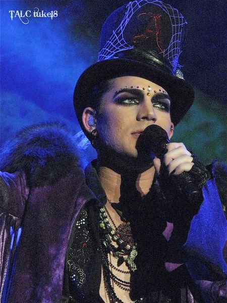 File:Down the Rabbit Hole (2010-07-28).jpg
